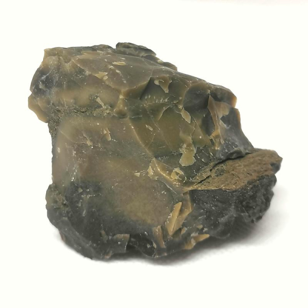 Opalisiertes Versteinertes Holz